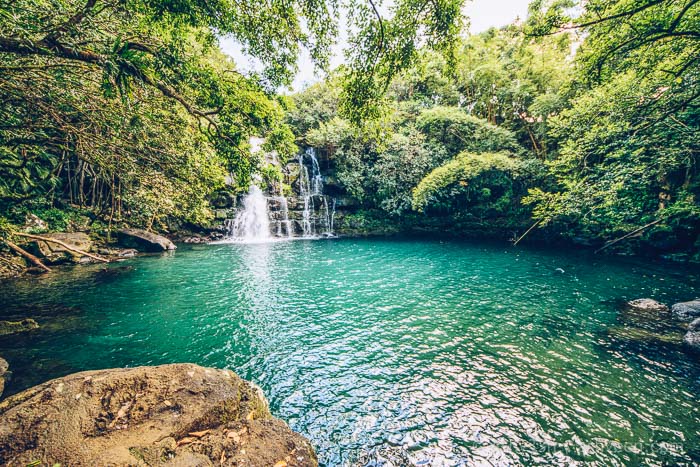 https://ashveen.com/wp-content/uploads/Eau-Bleue-Mauritius-waterfall-4-landscape.jpg