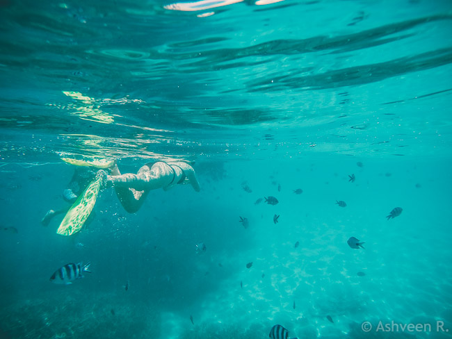 Snorkeling at the Blue Bay Marine Park - Ashveen